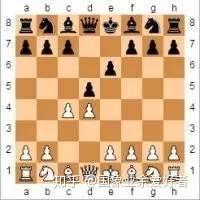国际象棋的五种开局分类