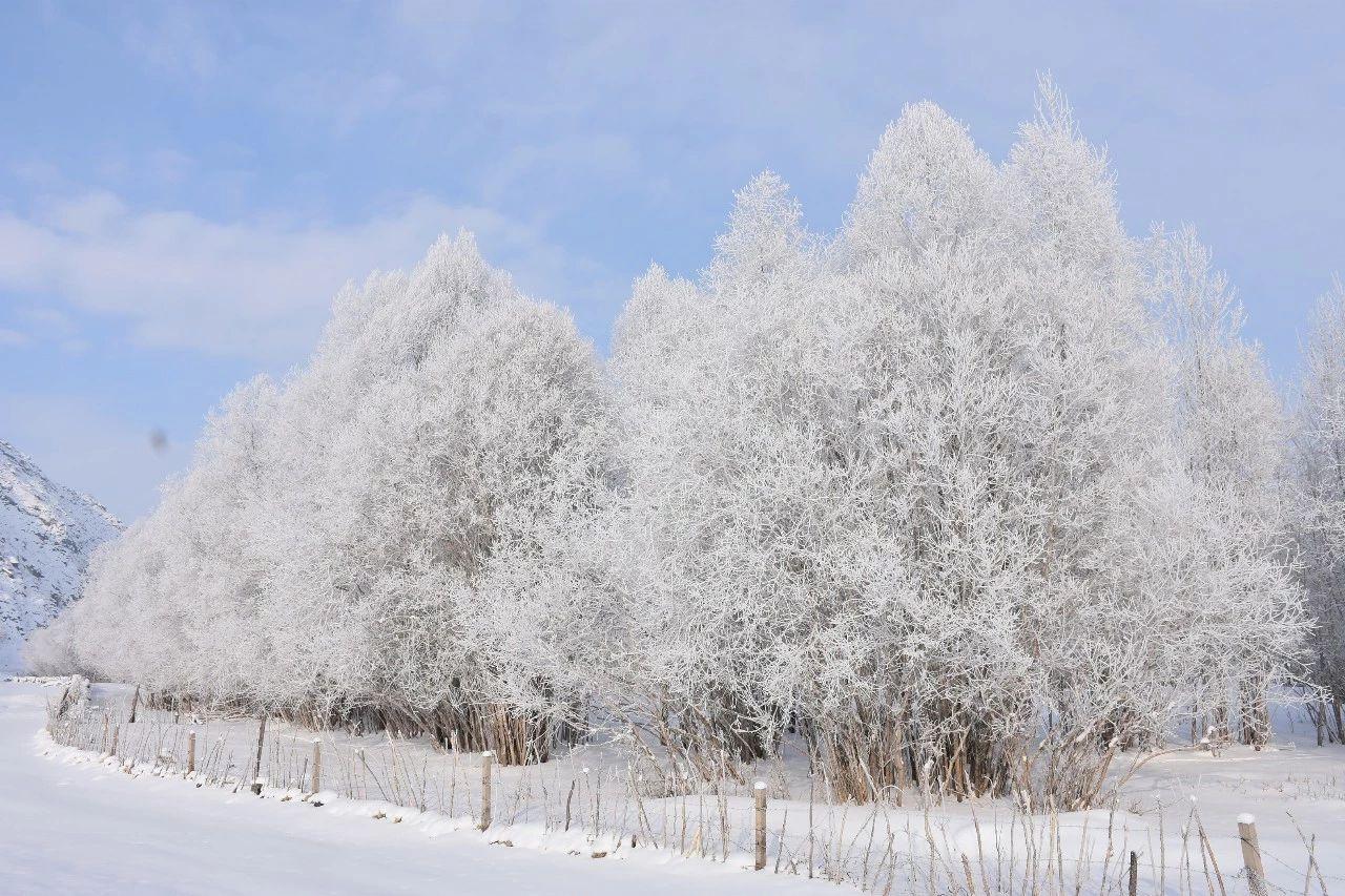 中国最美的雪南方孩子羡慕哭了最纯净的雪景秘境会玩的却只有1