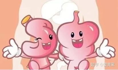 轻断食瘦身地址三大!娇排毒西秀区焦v地址馆好处安顺美人图片