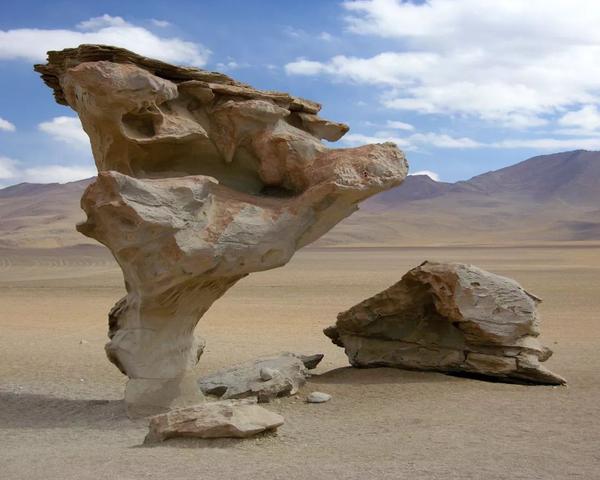 风蚀作用形成的岩石