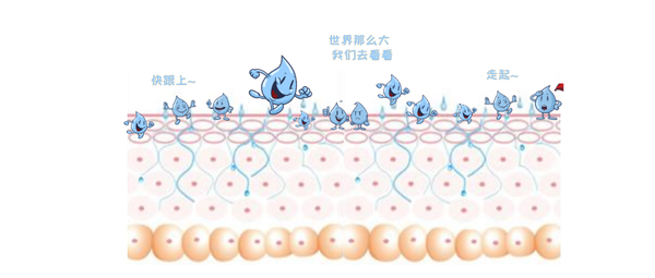 空气里的水分也变少,皮肤水分更易蒸发 这样一来,对皮肤来说简直就是