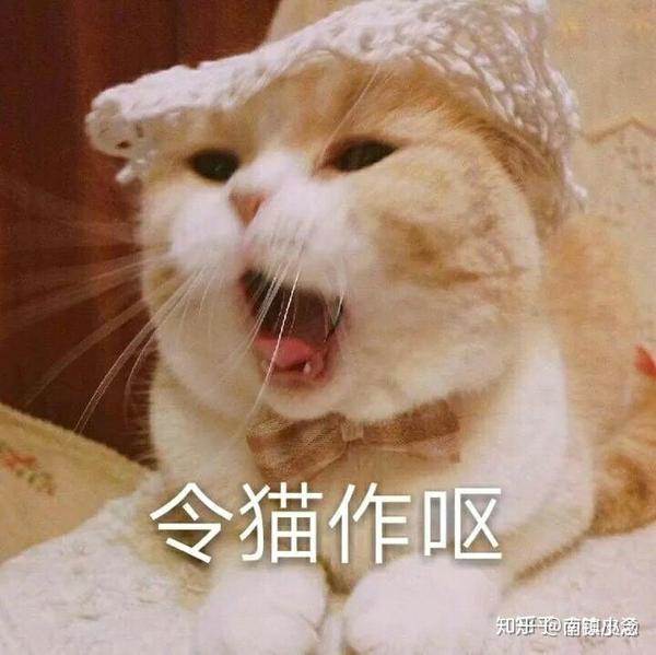 请说一个你觉得人心险恶的体验?