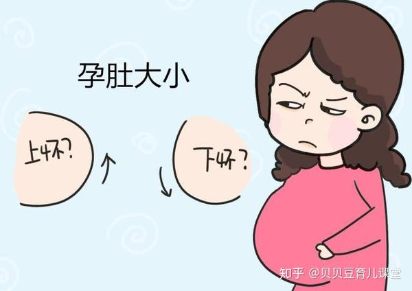 过早显怀是胎儿发育好?遇到这几种情况,孕妈可能要惆怅了!