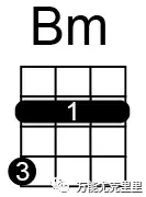 bm和弦图,二品横着一整条黑色粗线,标了数字1,表示要用食指横按住整个