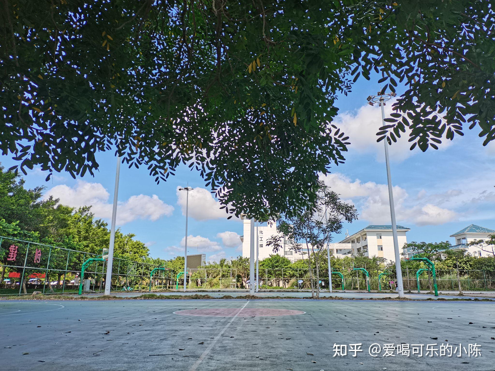 海南师范大学坐落于祖国最南端,椰林飘香拥有独特的环境优势,校园内部