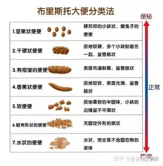 大便成型是指拉的时候成型还是在马桶里成型