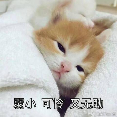说到冬天就想到窝在被窝里的表情包()…          赞同 34 添加评论