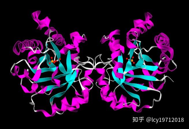 磷酸丙糖异构酶丝心蛋白(fibroin)也称丝素蛋白,可以溶解于含有某些盐