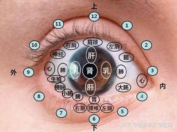 根据《中医眼睛全息定位图》,在对应的全息定位上有斑点,血丝,青暗
