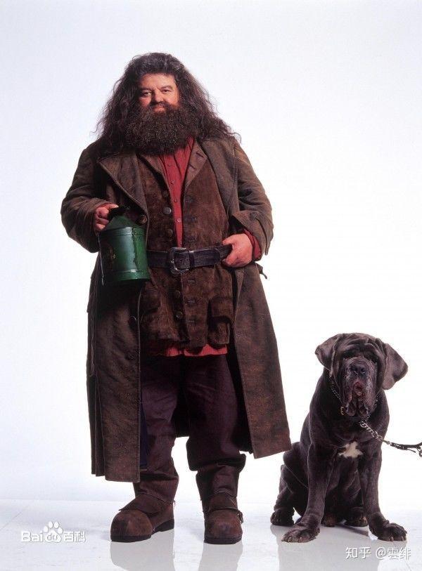 【hp人物评析】鲁伯·海格 rubeus hagrid