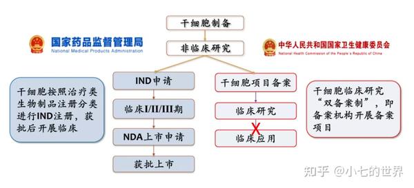 中国干细胞治疗领域法律监管与干细胞药物注册申报进展 知乎