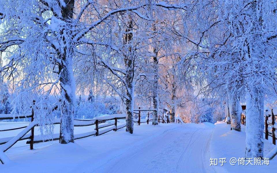 雪花飘飘北风萧萧