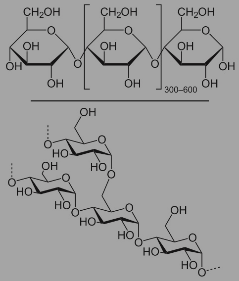 ▍直链淀粉(上)与支链淀粉(下)是天然淀粉的两种主要高分子化合物