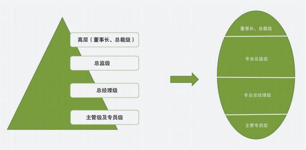 橄榄型人才结构模型