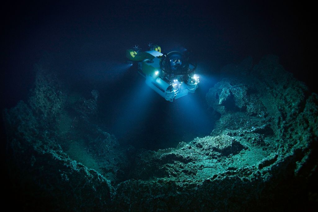 深海生物为何能够承受巨大的压力而存活