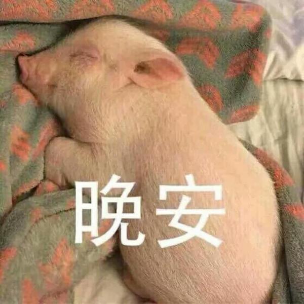 有哪些巧妙回复群发新年快乐的表情包?