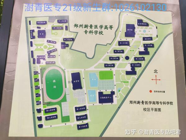 郑州澍青医学高等专科学校2021级新生咨询帖