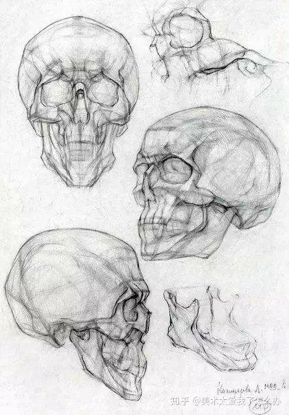 美术高考素描干货今天教你头骨怎么画各个角度的头骨的结构解析快进来