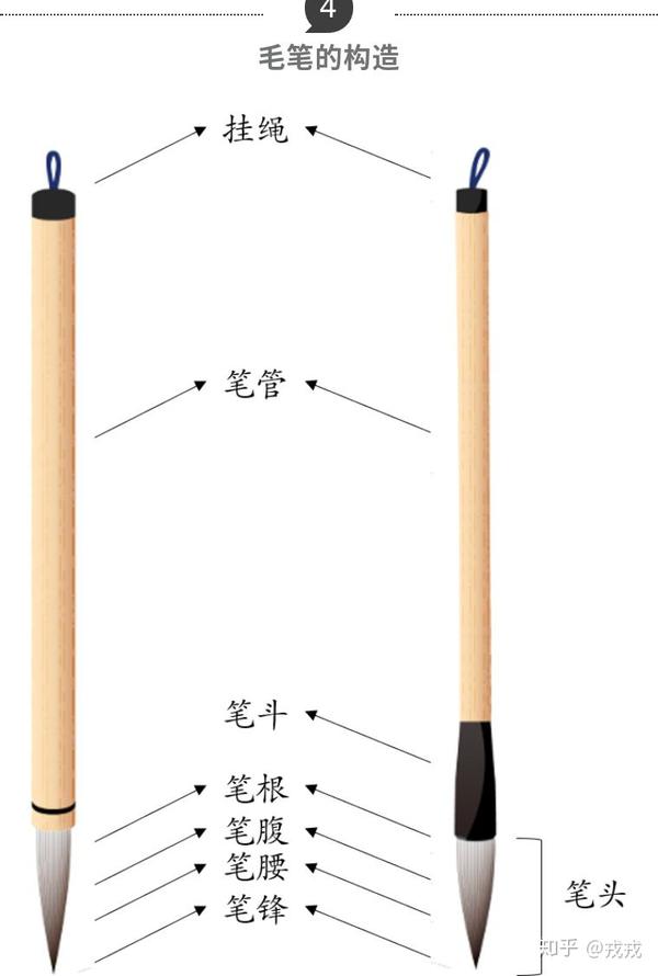 毛笔由主要由 笔头和 笔管构成.