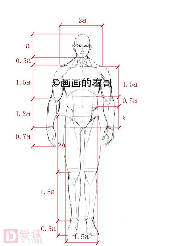 男女构造区别