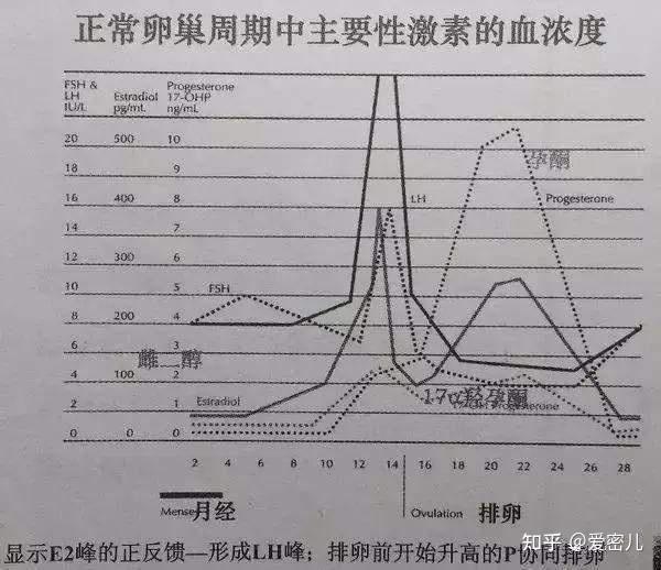 1,抽血检查:基础性激素水平: fsh(卵泡刺激素),e2(雌二醇),amh(抗苗