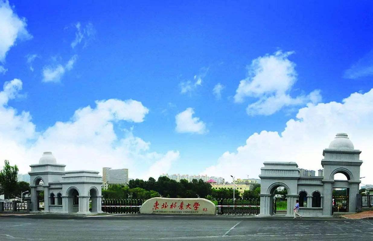 【21考研·院校】东北林业大学管理学考研院校详情汇总