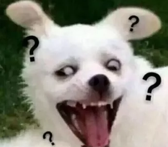 私藏已久 全无水印 全网最沙雕的狗子都在这了!