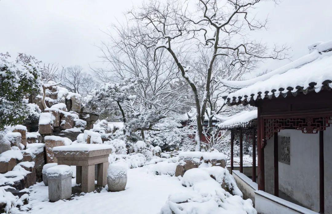 亲眼见证一次落雪的苏州城这个冬天才算是完整