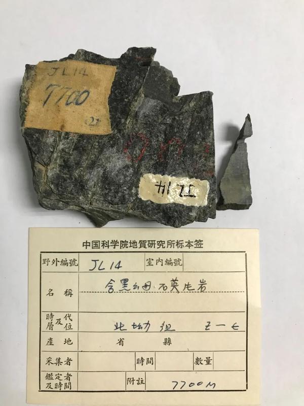 黑色的含黑云母石英片岩(标本号:jl14,海拔:7700米,采集人:中国登山