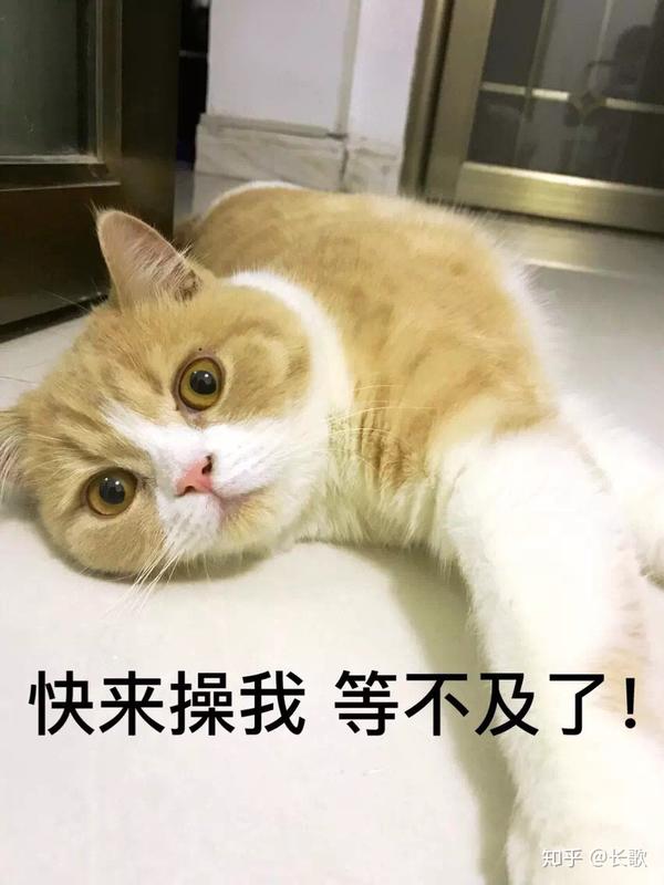 有没有可以给对象发的撒娇的表情包?