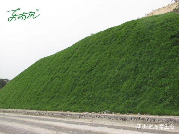 边坡客土喷播绿化植草技术