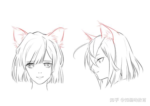 二次元兽耳绘画教程