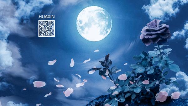 虽然在夜晚很难凸显出玫瑰花的艳丽,但整个画面却在月光照射下显得