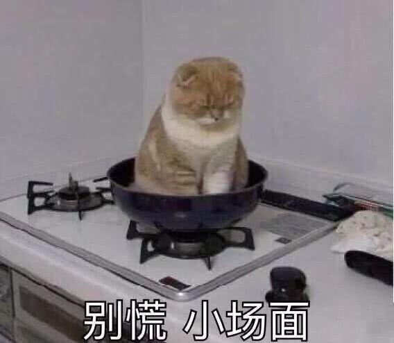 有哪些让人笑到肚子疼的搞笑图片?