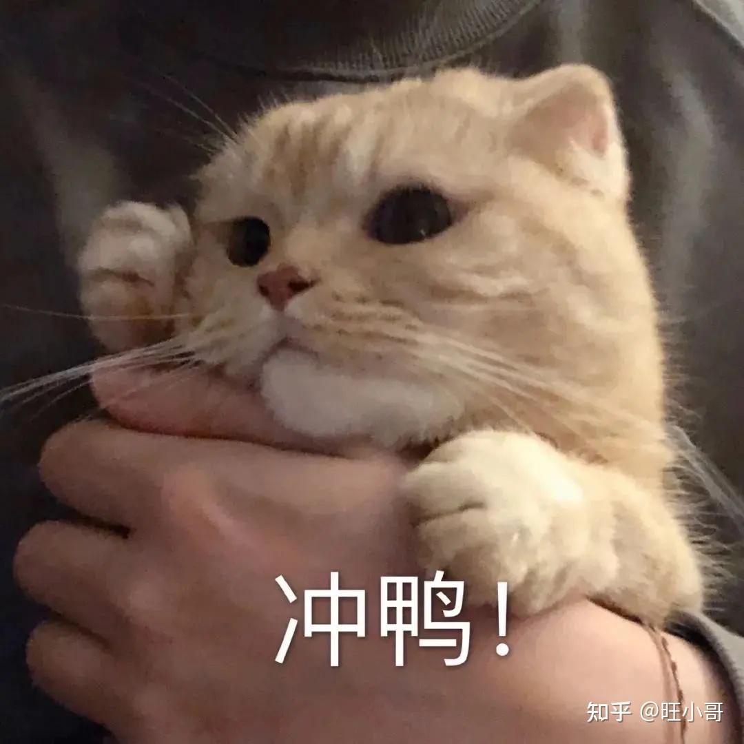 抖音官方故事怎样做？泄漏一个赚钱更靠谱的—抖音养生书单 ...