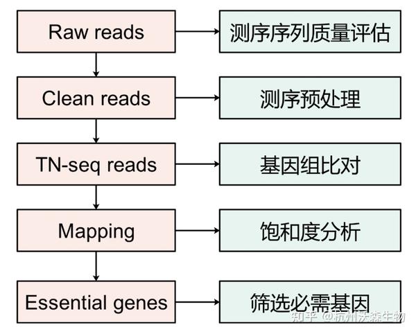 微生物遗传研究利器Tn Seq 转座子测序技术 知乎