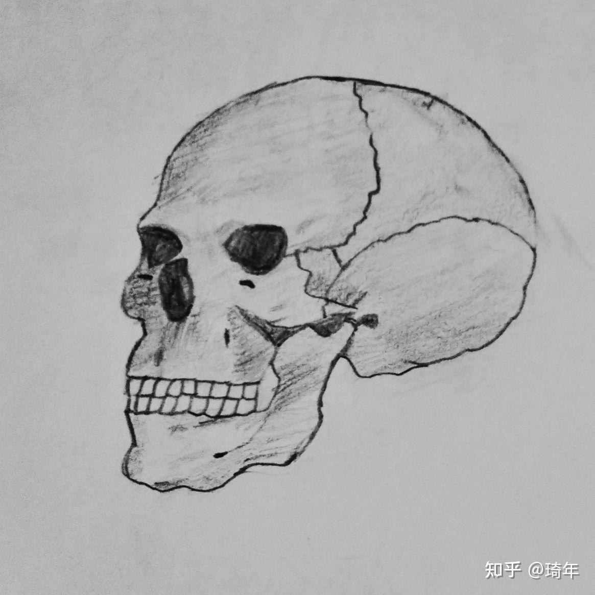 医学生的画画日常