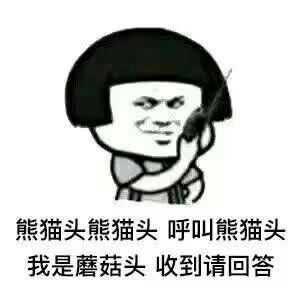 你有哪些非常搞笑的表情包?