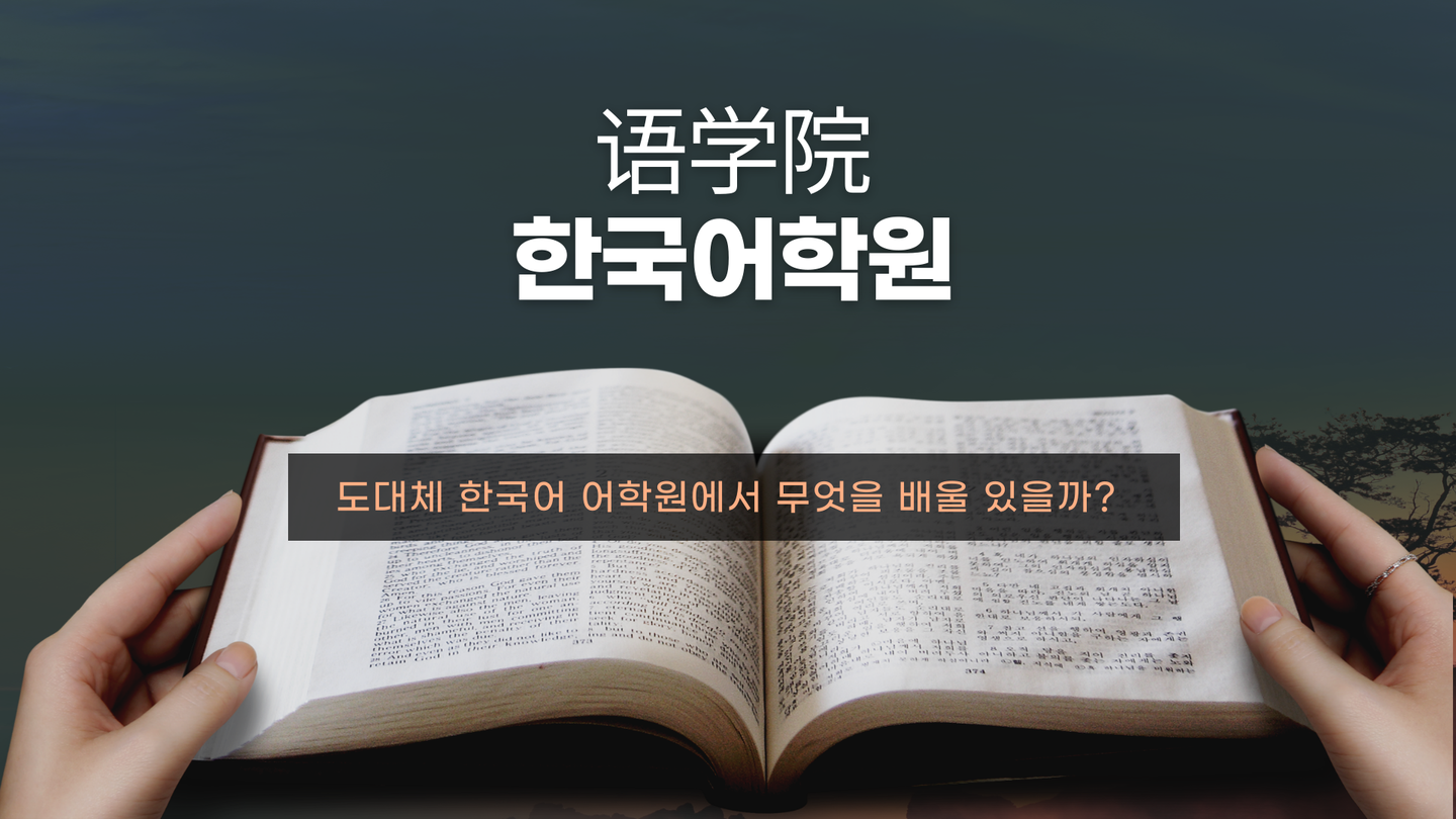 韩国语学院具体学什么以汉阳大学语学院为例详细解析韩国语学院的学习