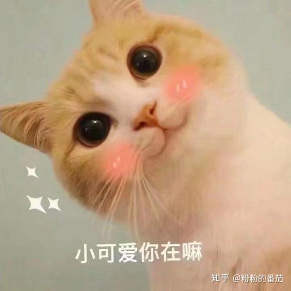 有没有可以给对象发的撒娇的表情包?