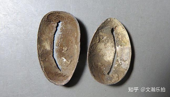 文瀚谈古币:最早的仿造币,贝币如今价值几何?