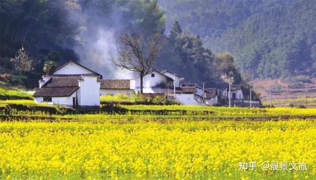 乡村旅游发展的核心吸引力是什么