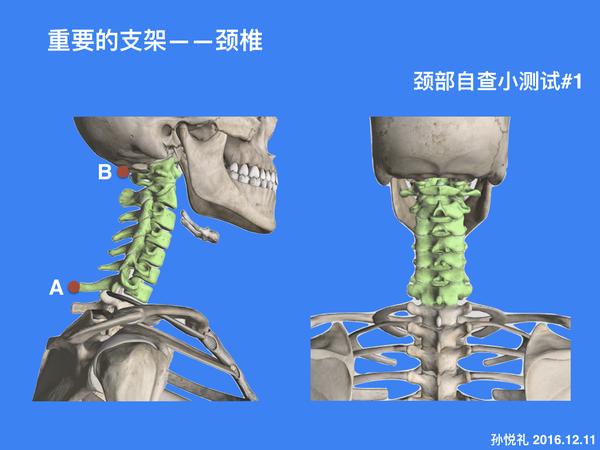 看完这篇文章,对自己的颈椎好一点