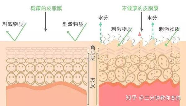 长时间使用皂基洗面奶会由于过度清洁,皮肤表面的天然屏障 "皮脂膜"会