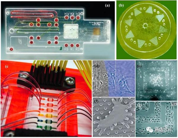 图解微流控第 期 知乎