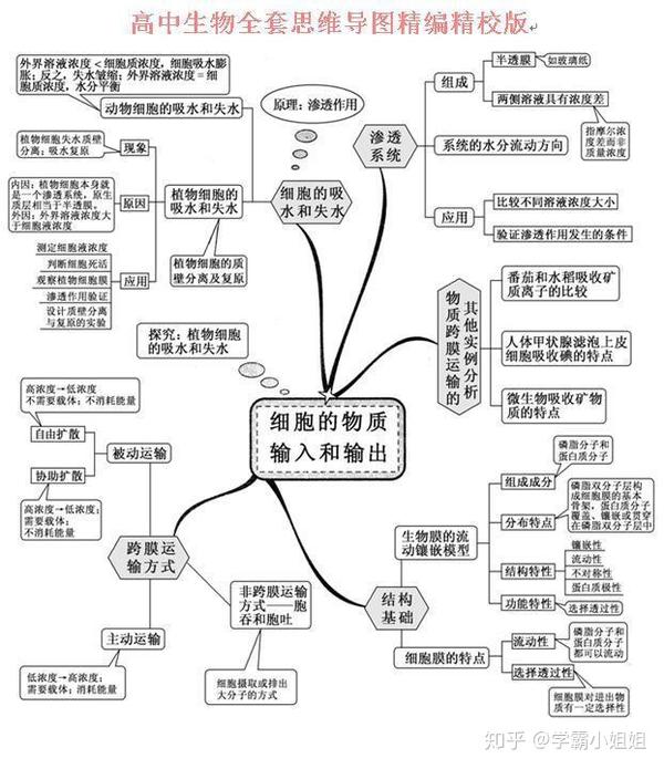 高中生物全套思维导图精编(精华版),看完稳稳拿高分!