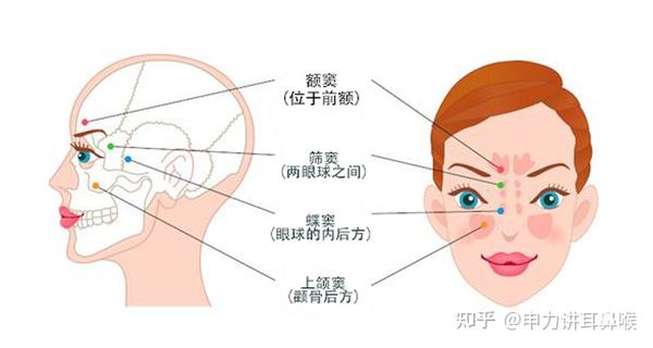 多年不治的鼻窦炎影响了我的学习