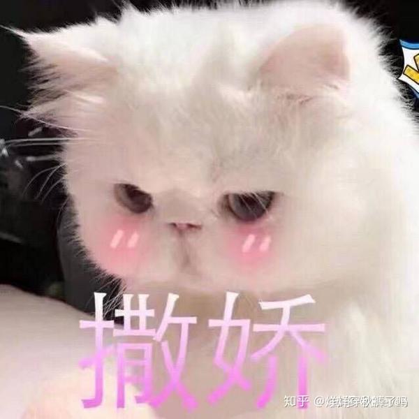 有哪些哄女朋友的可爱的表情包?