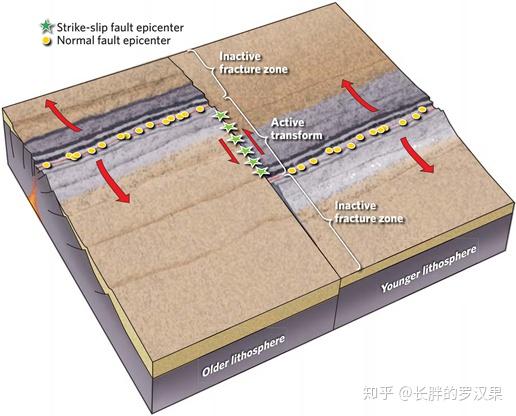 正断层和转换断层活动区域发育地震,不活动的断裂带不发育地震