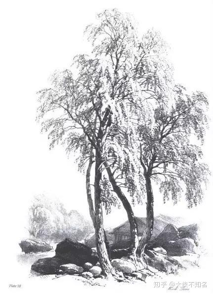 40张经典素描风景图,快来临摹吧